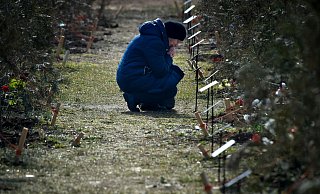 Die Mutter eines russischen Soldaten, der in der Ukraine getötet wurde, kniet neben einem Baum, der zum Gedenken an ihren Sohn in Sewastopol auf der Krim gepflanzt wurde. - Uncredited/AP/dpa