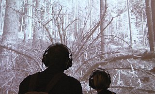 Der Wald als Video-Kunst in der das Kunstfest begleitenden Ausstellung. - Burkhard Battran