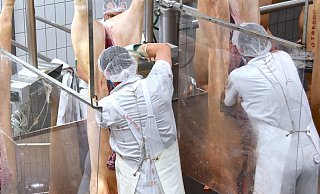 Bei Tönnies darf seit Kurzem wieder geschlachtet werden. Mitte Juni hatte es hier einen massiven Coronavirus-Ausbruch gegeben, das Werk war darauf geschlossen worden. - Tönnies