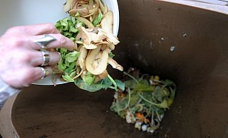 Biomüll sollte ohne Plastiktüte in die Biotonne kommen – selbst wenn es sich um kompostierbare Tüten handelt. - Peter Steffen/dpa