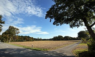 Den Maisacker zwischen dem Privatweg von rechts und den Privathaus hinter den Bäumen links an der Senner Straße sowie das hinten anschließenden Gelände Richtung Nordfeldweg inklusive der alten Hofstelle Steinkröger hat die BBVG für die Ansiedlung von Gewerbe gekauft. Dagegen regt sich Widerstand. - Oliver Krato