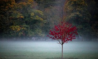 Ab dem Wochenende wird es in Ostwestfalen-Lippe in den Abend- und Nachtstunden kälter. Das Hochdruckgebiet sorgt in der kommenden Woche nicht nur für kühlere Temperaturen, sondern auch immer wieder für Nebel. - Daniel Vogl/dpa