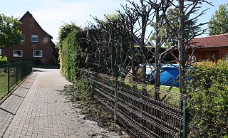 Als die Feuerwehr eintraf, war ein Anwohner schon dabei, die brennende Hecke zu löschen. - Regina Brucksch