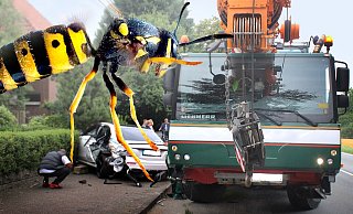 Wenn eine Biene einen Kranwagen-Unfall verursacht, das Eichhörnchen im Abflussrohr steckt oder die Kornnatter auf dem Radweg liegt, dann sind auch schon mal die Polizei und Feuerwehr aus dem Kreis Gütersloh gefragt. - Andreas Frücht