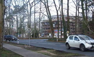 Diese Bäume sollen bleiben. - Karsten Schulz