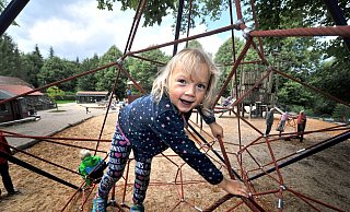 Auf dem Beobachtungsposten: Die vierjährige Marie sitzt in Olderdissen mit am liebsten auf dem großen Klettergerüst, der Spinne, weil "ich da bis ganz oben klettern und den anderen Kindern zusehen kann, was sie so machen". - Andreas Frücht