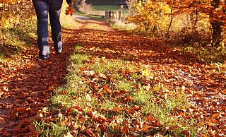 Das Wetter am Wochenende wird perfekt für einen Spaziergang. - pixabay