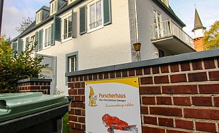 Auf und um das Gelände der Kita Forscherhaus wurden Bäume umfangreich zurückgeschnitten. Einige trugen giftige rote Beerenfrüchte. - Daniel Salmon