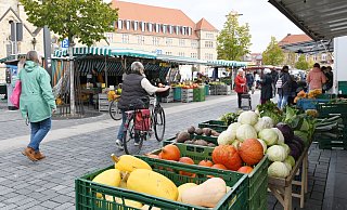 Der Paderborner Wochenmarkt auf dem Domplatz hat zweimal in der Woche geöffnet. - Lena Henning