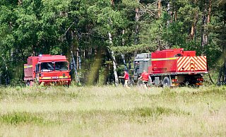 Vegetationsbrand auf der Schießbahn E im Bereich der Sennegemeinde Hövelhof: Fahrzeuge des Defence Fire & Rescue Service sind an der Brandstelle. - Ralph Meyer