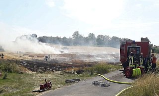 Ein Feldbrand beschäftigt aktuell zahlreiche Einsatzkräfte der Feuerwehr. - David Schellenberg