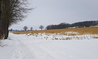 Auch am Bahndamm waren Tierkardaver aufgefunden worden. Alle wurden vom Ordnungsamt der Stadt fachgerecht entsorgt. - Jörg Wegge