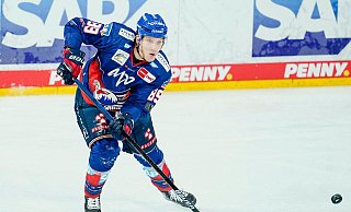 David Wolf beendet seine Eishockey-Karriere. - Uwe Anspach/dpa