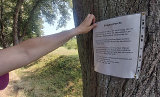Auf dem Elsedamm in Bünde soll ein Hund schwer verletzt und die Halterin geschlagen worden sein. Mit einem Plakat sucht die Frau nach Zeugen des Vorfalls. - Florian Weyand