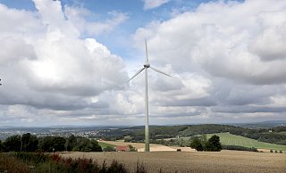 In Schwarzenmoor in Sichtweite des Senders stehen drei Windräder auf Herforder Gebiet. Die Stadtwerke überlegen, ob sie in Abstimmung mit den Betreibern hier leistungsfähigere Windräder aufstellen könnten. - Frank-Michael Kiel-Steinkamp