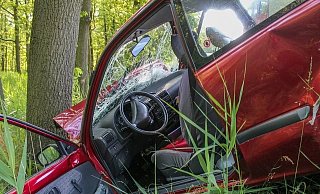 Der Wagen war frontal vor einen Baum geprallt (Symbolfoto). - Pixabay