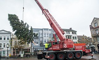 Unter den Blicken vieler Schaulustiger schwebt der Baum vom LKW über den Alten Markt seinem Standplatz entgegen. - Ralf Bittner