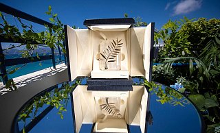 Der Hauptpreis des Filmfestivals in Cannes: die Goldene Palme. - Foto: Vianney Le Caer/Invision/AP/dpa