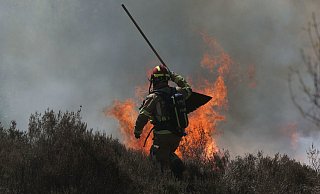 Im deutsch-niederländischen Grenzgebiet sind Feuerwehrleute seit Tagen im Einsatz. Auch in Gummersbach kämpfen die Kräfte gegen Glutnester. - picture alliance/dpa