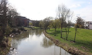 Gewässerschau: Die Werre, Blick von der Kronprinzenbrücke aus Richtung Bad Oeynhausen. - Susanne Barth