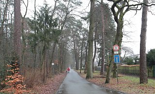 Am Schützenweg liegen einige Sportstätten in Bad Lippspringe. Für mehr Parkplätze oder eine mögliche Verlegung des Kurwaldstadions müssten auch Bäume gefällt werden. - Uwe Müller (Archiv)