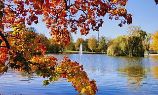 Malerisch sind die Blätter im Steinmeisterpark in Bünde in bunte Farben getaucht. - Verena Freiberg