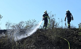 Löschangriff: Feuerwehrleute bekämpfen den Brand auf dem Wall und verhindern eine weitere Ausdehnung. - Andreas Eickhoff