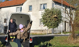 Elegant sieht es aus: Esther Lüke wirft einen Weihnachtsbaum. - Lennart Schlütz