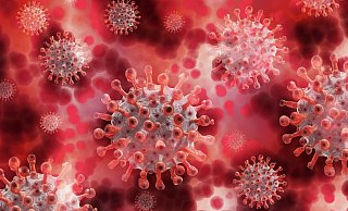 Mehr als 700 Bielefelder sind derzeit in Quarantäne. - Pixabay