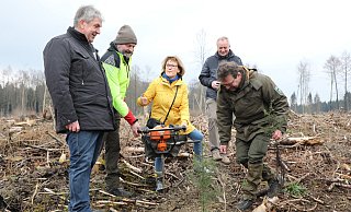 So geht’s, erklärt Stadtförster Harald Gläser. Nach den Vorarbeiten mit dem Bodenbohrer wird ein kleiner Baum einpflanzt. - Simone Flörke