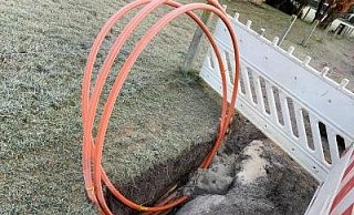 Im Netz der Deutschen Glasfaser kommt es derzeit zu massiven Störungen. - (Themenbild) Jens Reddeker