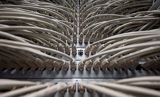 Netzwerkkabel in einem Höchstleistungsrechenzentrum. Die Mehrheit der Menschen in Deutschland erwartet von einer künftigen Ampelkoalition keine wirksamen Fortschritte bei der Digitalisierung der öffentlichen Verwaltung in Deutschland. - Foto: Marijan Murat/dpa