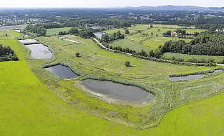 Die Rieselfelder Windel liegen nördlich der Siedlung Windflöte und der A33. - Stiftung Rieselfelder