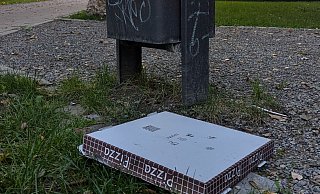 So sieht es bislang aus: Pizzakartons verstopfen die herkömmlichen Mülleimer in den Parks oder fliegen diekt daneben. - Felix Brenneke
