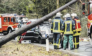 Zerstörung: Dieses Fahrzeug wurde in Bielefeld von einem umstürzenden Baum getroffen, der Fahrer wurde schwer verletzt von Rettungskräften geborgen. - Christian Mathiesen