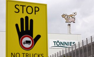 Der Schlachtkonzern Tönnies mit Sitz in Rheda-Wiedenbrück ist Deutschlands größte Fleischfabrik. - picture alliance / Geisler-Fotopress
