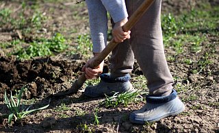 Bei Gartenarbeiten wurde in Bad Driburg ein Schädel entdeckt. Die Polizei hat nun eine Theorie darüber, wie er dorthin gekommen ist. - Symbolfoto: Pixabay/AdinaVoicu
