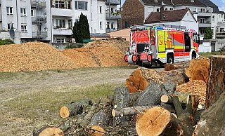 In den Mengen geschredderter Grünabfälle kam es auf dem Parkplatz an der Florianstraße zu natürlichen Gärprozessen und einer leichten Rauchentwicklung. - Ralph Meyer