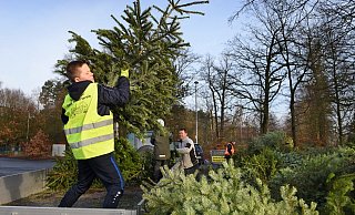 Und weg damit: Eric Fromme wirft einen Baum vom Transporter. - Barbara Franke