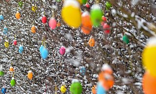  - Patrick Pleul/dpa-Zentralbild/ZB/Symbolbild