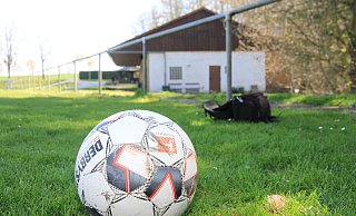 Nachdem die Millionen-Investitionen für einen Kunstrasenplatz in Bredenborn (Foto) und den Umbau des Vereinsheimes in Kollerbeck abgelehnt wurden, sollen nun Nutzungsvereinbarungen mit allen Sportvereinen geschlossen werden. - David Schellenberg