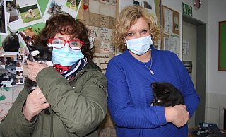 Die Beiden hatten Glück: Die Katzenbabys, die Renate Siekkötter (l.) und Kathrin Sander hier auf dem Arm haben, kamen in gutem Zustand ins Tierheim. Häufig erleben die Tierschützer aber Erschreckendes. - Gregor Winkler