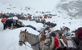 Dorfbewohner stiegen mit Pferden und Ochsen auf den Mount Everest, um zu den Wanderern zu gelangen. (Archivbild) - Lingsuiye/Xinhua/dpa