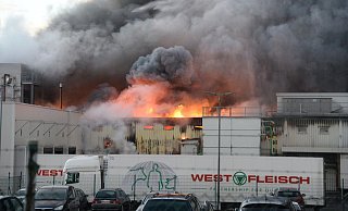 Der Westfleisch-Schlachthof wurde bei dem Großbrand im Februar 2016 völlig zerstört. - Archivfoto: Marc Köppelmann
