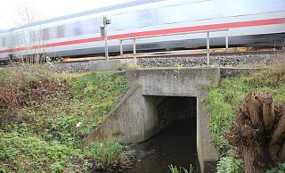 Der Markbach in Kirchlengern kreuzt auch die Bahnlinie. - Florian Weyand