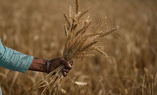 - Channi Anand/AP/dpa