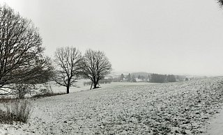 Das eingeschneite Wiehengebirge zeigte sich den Mitarbeitern des Ordnungsamtes von seiner schönen Seite. Auf Rodler trafen sie bei dieser Tour nicht. - Gemeinde Rödinghausen