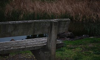 Neun junge Männer müssen sich ab heute vor dem Bielefelder Landgericht verantworten.