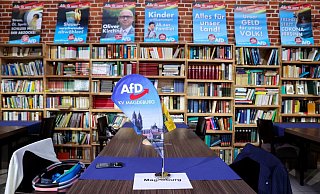 Die AfD liegt in Sachsen-Anhalt klar hinter der CDU. - Foto: Jan Woitas/dpa
