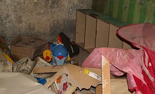 In der vermüllten Wohnung fand der Vermieter zurückgelassene Haustiere (Symbolfoto). - Symbolfoto dpa